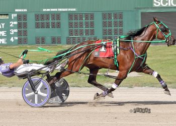 Makin Some Noise heard loud and clear