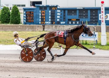 Metro Matty romps in two-year-old $51,500 NYSS