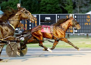 Saratoga’s Open taken with Nuttin But Finesse