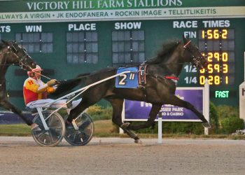 Two-year-old trotting colts in the spotlight