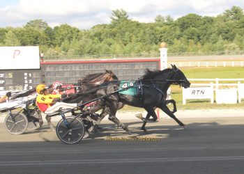 Marquis Lafayette prevails in tight Open Trot