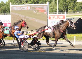 Hudson Phil too tough in Plainridge Open