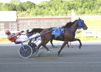 Record mile for Blue Knight in Open Trot