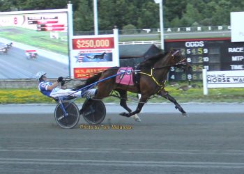 No photo needed as La Bella Vita N romps