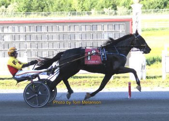 Early speed sets up Marquis Lafayette for lifetime mark