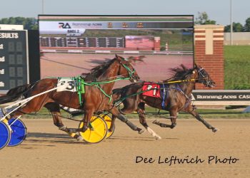 Record matched in Dan Patch elims