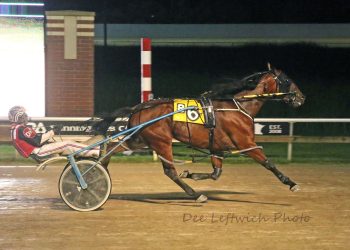 Saddle Up razor sharp in Aces feature