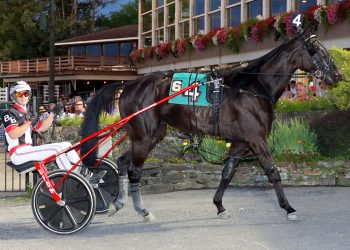 Angel Nation takes out tough foes Open Trot