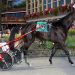 Angel Nation takes out tough foes Open Trot