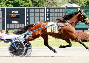 Spa chalks get it done in top trots