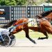Spa chalks get it done in top trots