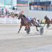 Driving triples for Picard & Berube at Hippodrome 3R