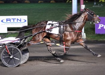 Hammering Hank injured, out of Meadowlands Pace