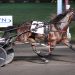 Hammering Hank injured, out of Meadowlands Pace