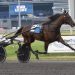Rebuff ties track record in Stanley Dancer