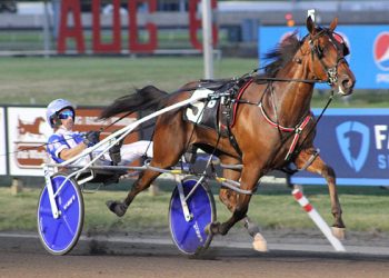 Toscano duo seek crowns in Yonkers stakes