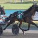 Hambo eligibles score in Tompkin-Geers Stakes 2