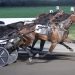 Jiggy Jog S catches fellow filly in Hambletonian elims