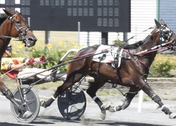 Graffam deals four-of-a-kind at Bangor Raceway