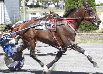 Arsenal ending career with a bang