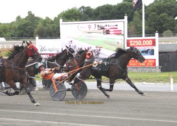 Moonshine Kisses ties track record at Plainridge