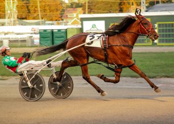 Vivians Dream victorious in $52,500 NYSS