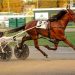Vivians Dream victorious in $52,500 NYSS