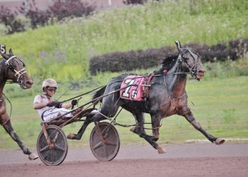 Bet Eightthirtyone beats the rainclouds – and feature opponents