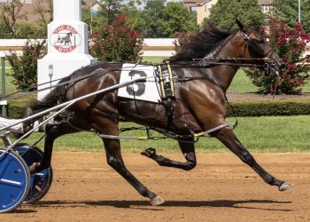 Strong Poison is lethal in $80,000 KY Championship leg