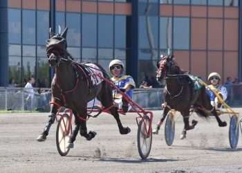 Little Diamond impressive in fourth straight win