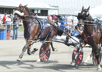 Luke McGook takes another Maine Breeders Stakes