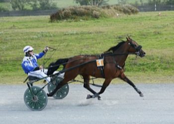 Alpha Papa takes Klondyke Cup in straight heats
