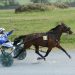 Alpha Papa takes Klondyke Cup in straight heats
