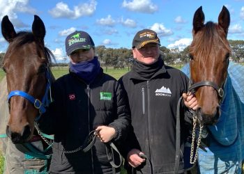 Abbey forging her own path