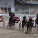Bounty Hunter grinds out a first-over win 9 Rivalry to be renewed at Charlottetown