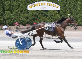 American Flight puts perfection on the line in $107,000 NYSS