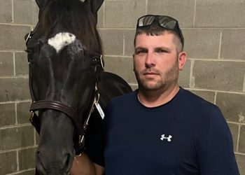 Domethatagain, Sweet Lou colts top Blooded Horse Sale