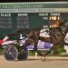 Bulldog Hanover puts on a show in $315,000 Dan Patch