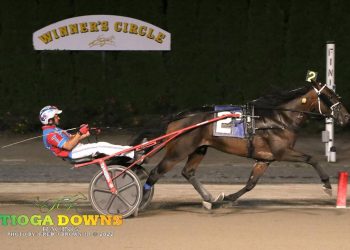 The Stunning Nun and Believer star in co-features