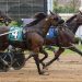 Boudoir Hanover hangs tough in $80,000 Kentucky Championship series 4