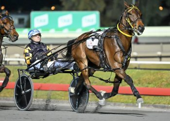 Shuffles makes all the right moves to Group 1 glory