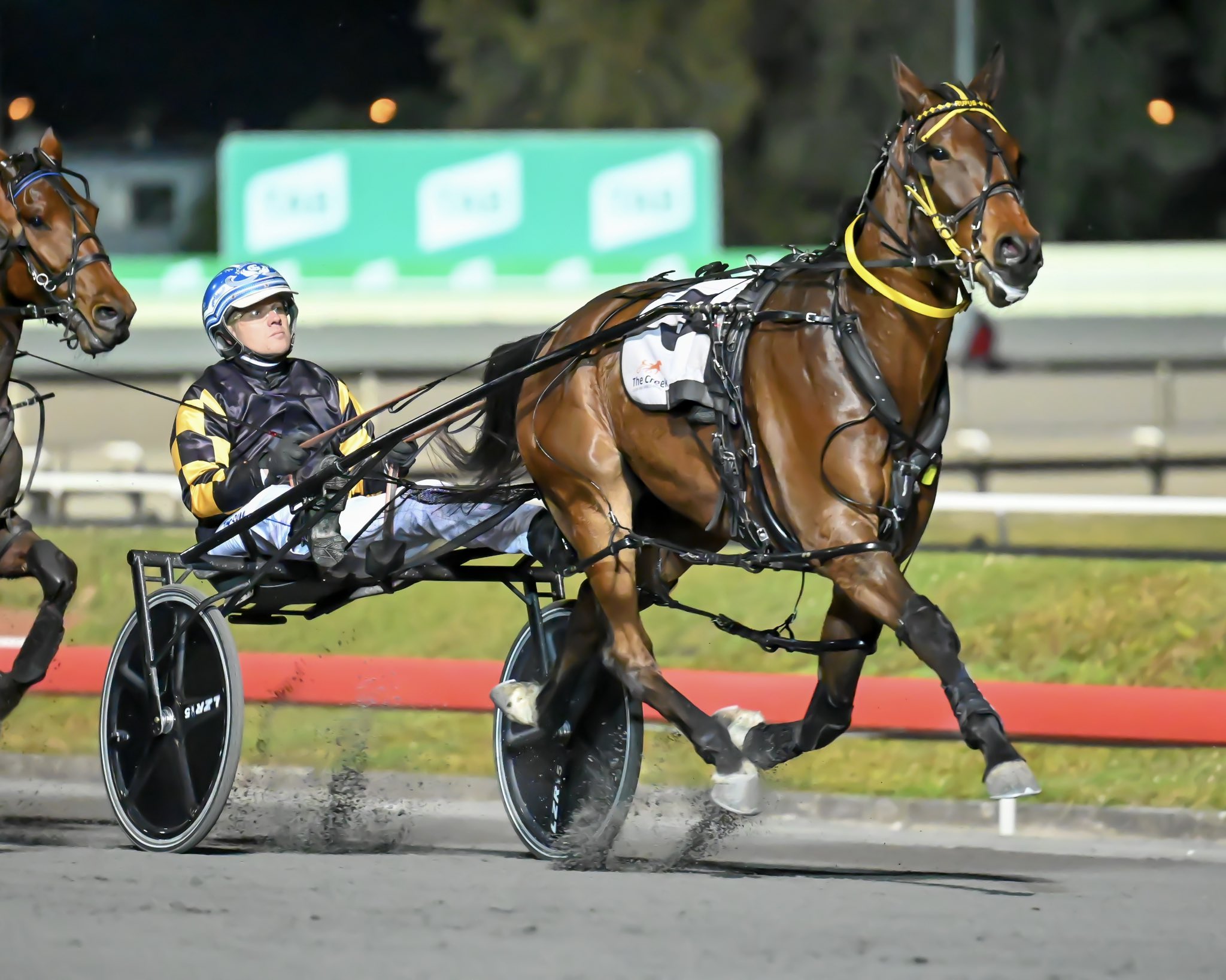 Shuffles Makes All The Right Moves To Group 1 Glory Harnesslink