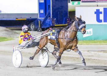 Wave bounces back from shock defeat