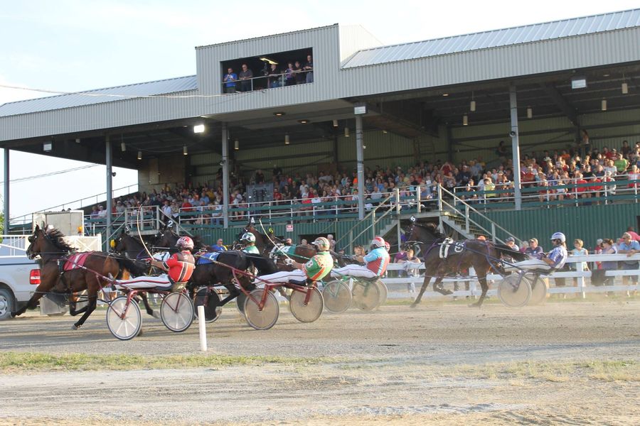 Six fillies to do battle in Maritimer