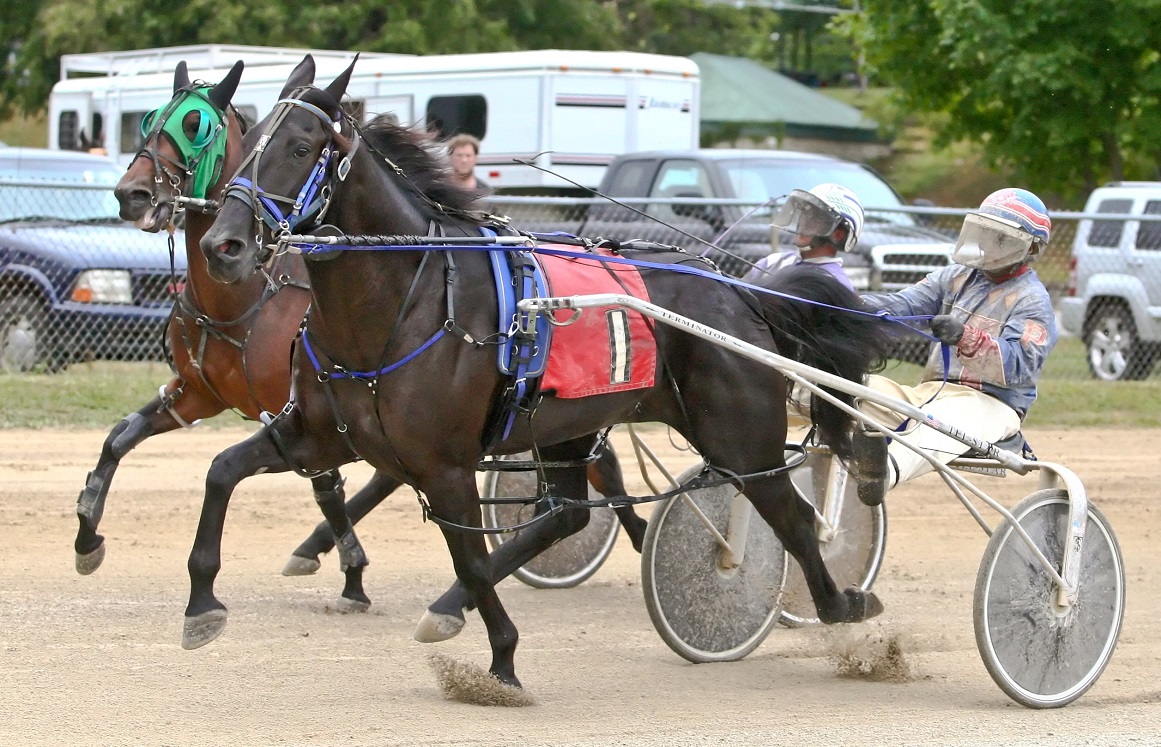 Fayette County Fair hosts Indiana Fair Circuit Harnesslink