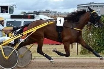 Big stakes on classic Kincsem Park card