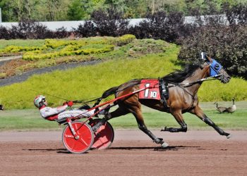 Yankee Glide veteran puts it all together