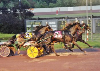 Pacing colts handle slop in $162,620 PASS