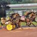 Pacing colts handle slop in $162,620 PASS 3 Pacing colts handle slop in $162,620 PASS
