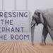 RIB the new elephant in the room for racing